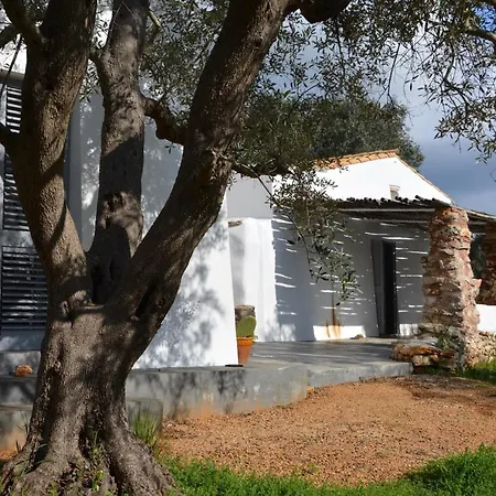 Pajara Stella In Salento Taurisano